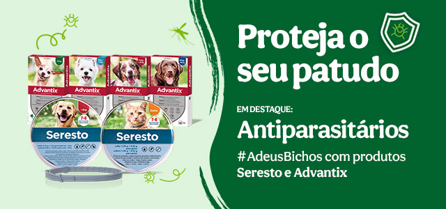 Proteja o seu patudo com antiparasitários