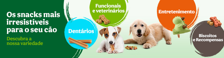 Os snacks irresistíveis para o seu cão