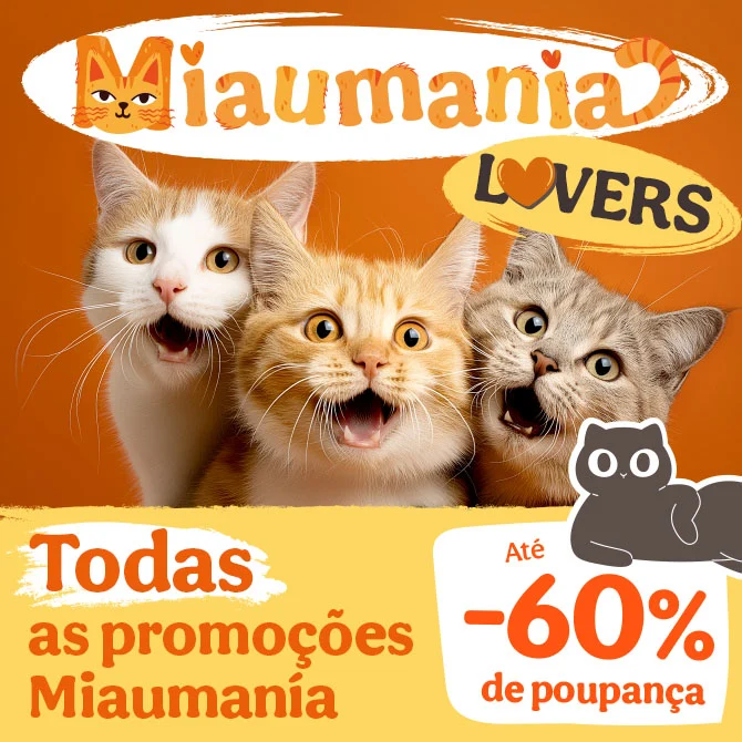 Promoções para gatos com até 60% de desconto em alimentação, snacks e acessórios.