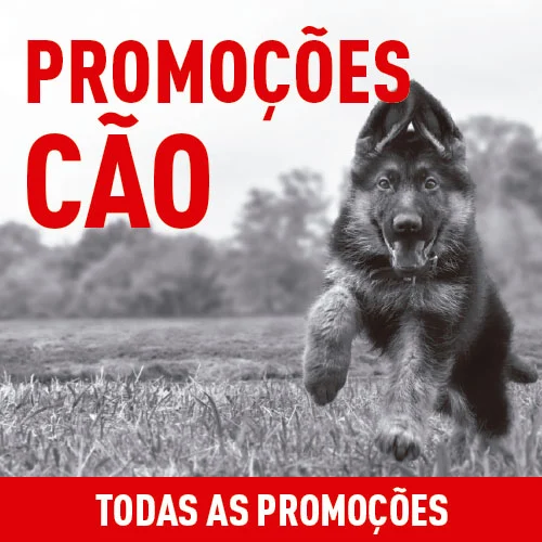 Promoções para cão.