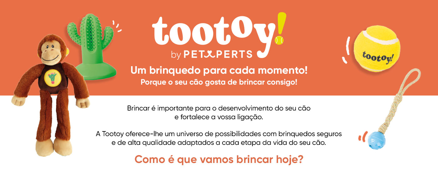 Tootoy