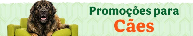 Todas as promoções cão