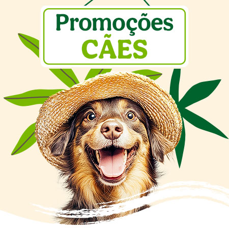Promoções para cão