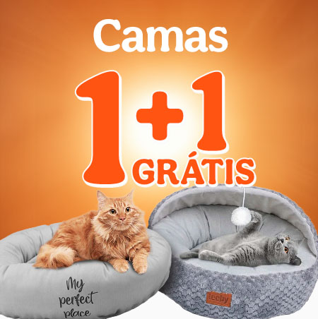 1+1 grátis em camas para gato.