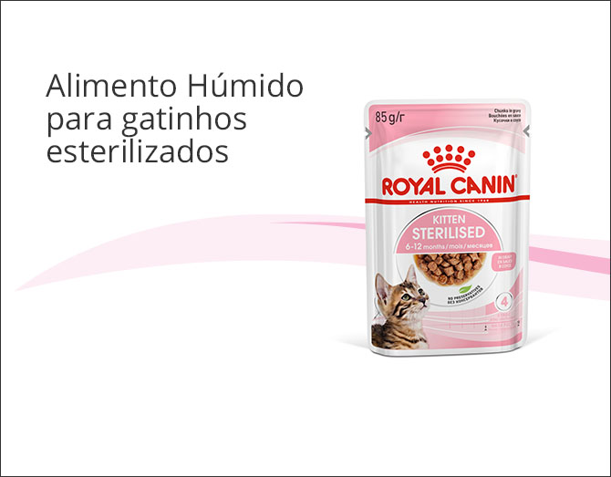 Royal Canin  gatinho esterilizado alimentação húmida em molho