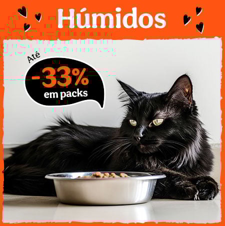 33% de desconto em packs de comida húmida para gatos.