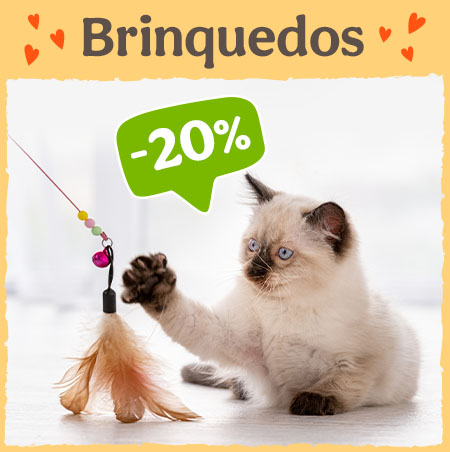 20% de desconto em brinquedos para gato.