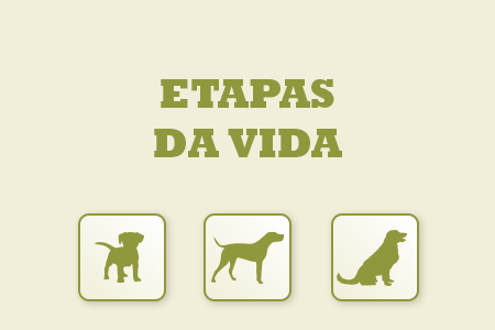 Alimentação natural adaptada a cada etapa de vida do seu cão