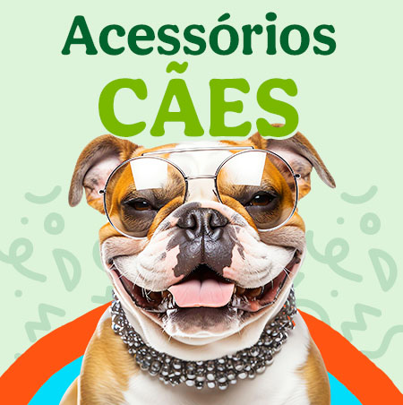 Mega descontos em acessórios para cão.