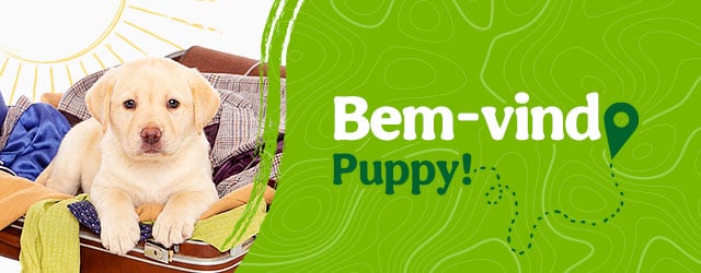 Bem-vindo Puppy