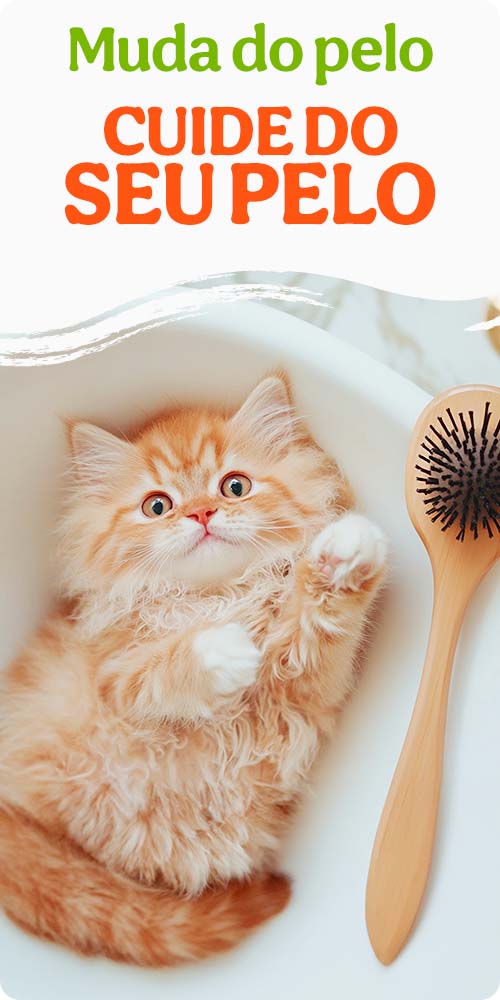 Cuide do pelo do seu animal com os melhores produtos com super preço.