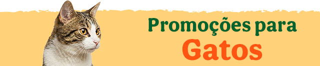 Promoções para gato