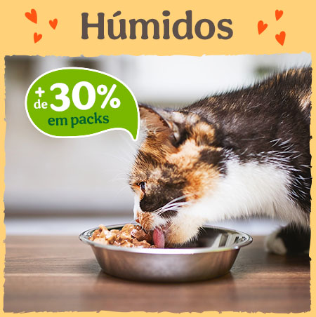 Mais de 30% desconto em packs de comida húmida para gatos.