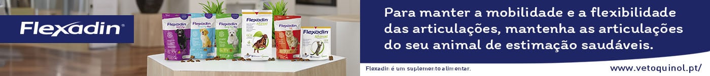 Flexadin para cão: suplemento condroprotetor ideal para articulações saudáveis em animais sénior ou ativos.