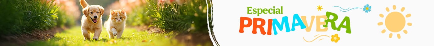 Prepara-se para a Primavera com os melhores produtos.