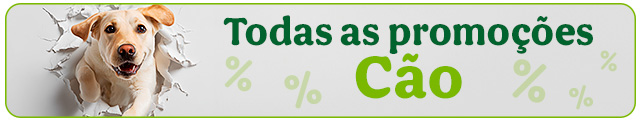 Todas as promoções cão