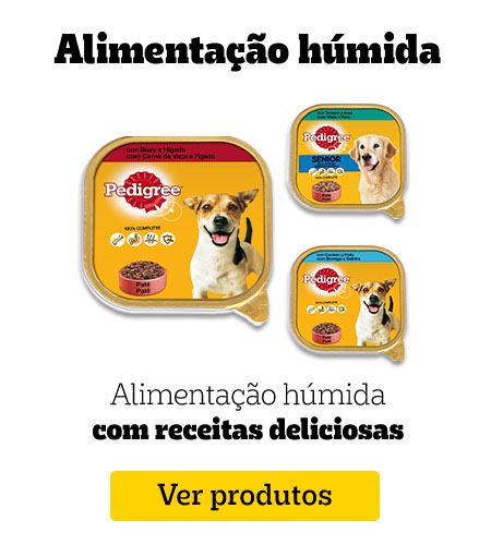 Comida húmida