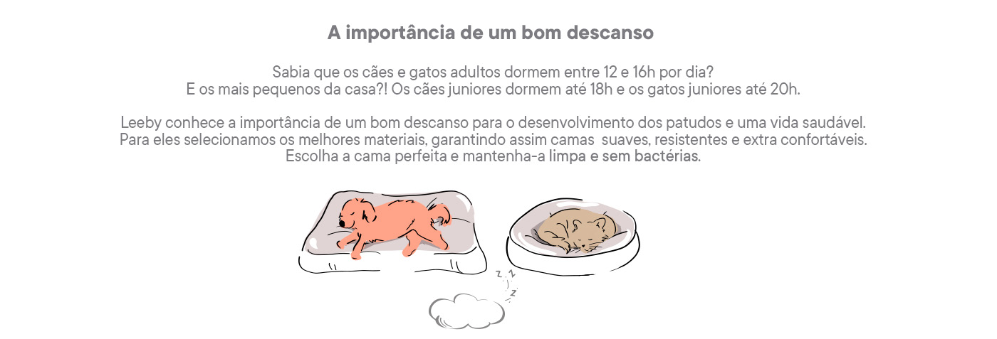 Saiba tudo sobre a importância de um bom descanso para cães e gatos!