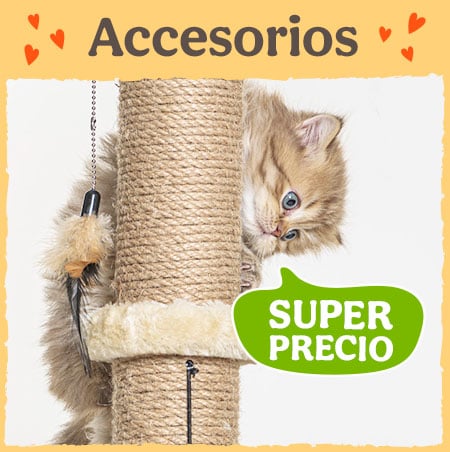 Acessórios com super preços.