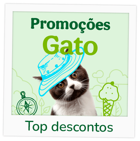 Promoções  para Gato