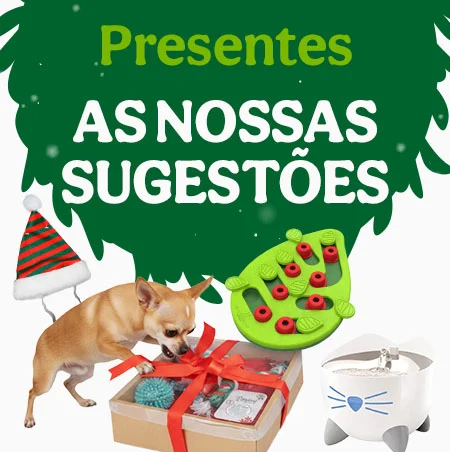As nossas sugestões.