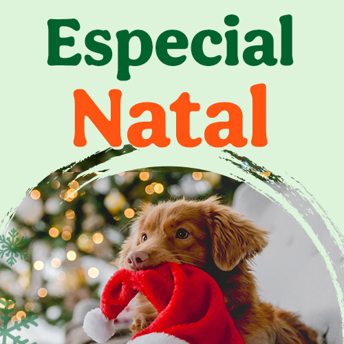 Especial Natal