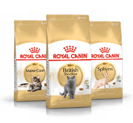 Royal Canin Raças de Gatos