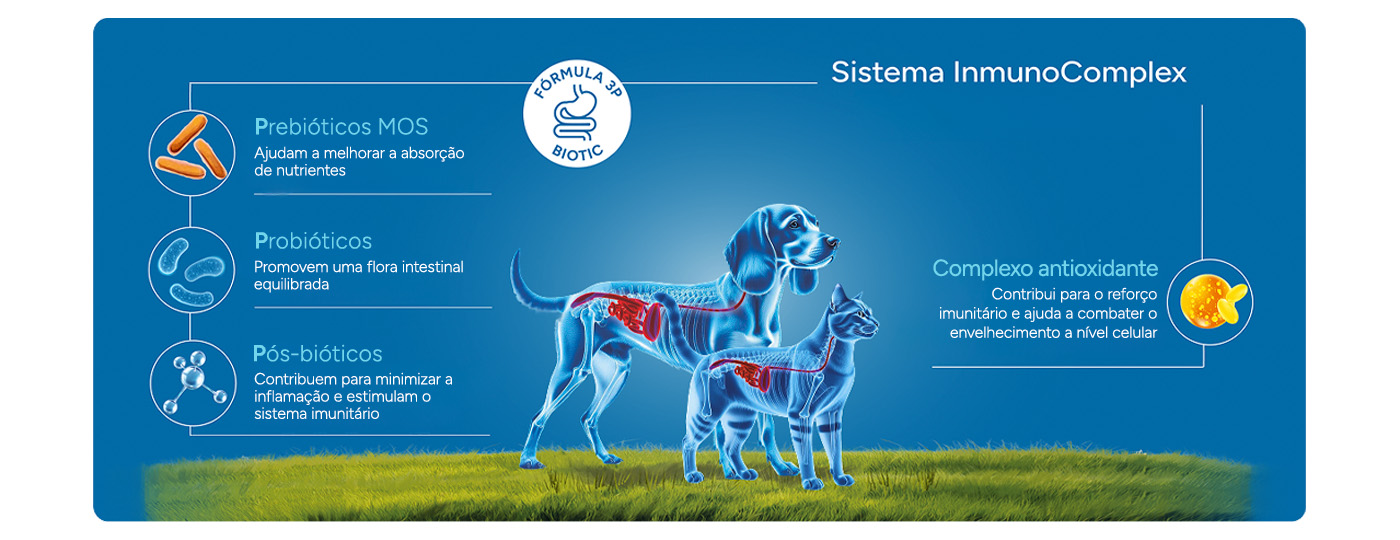 Sistema ImunoComplex composto pela fórmula 3P BIOTIC e Complexo Antioxidante de origem natural.