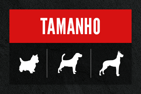 Encontre a sua receita ideal em função do tamanho da raça.