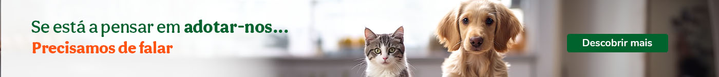 O meu primeiro Animal de estimação