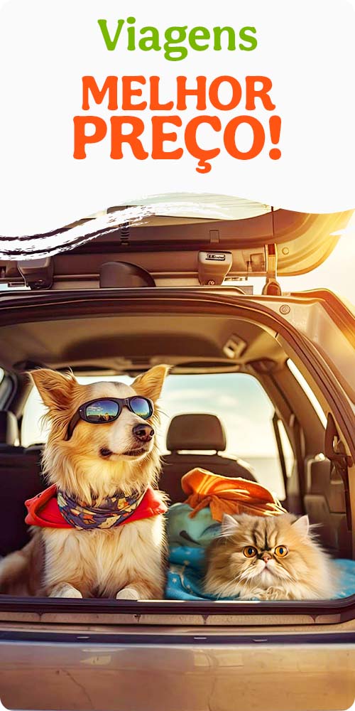Super preço em acessórios de viagem para o seu patudo.