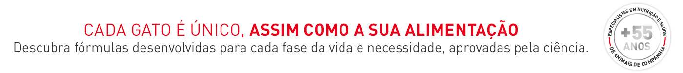 Cada gato é único, assim como a sua alimentação.