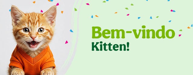 Os produtos essenciais para receber em casa o novo gatinho