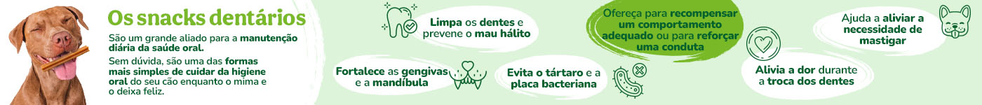 Snacks dentários para cão.