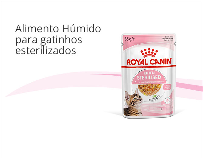 Royal Canin alimentação húmida em gelatina para gatinhos esterilizados