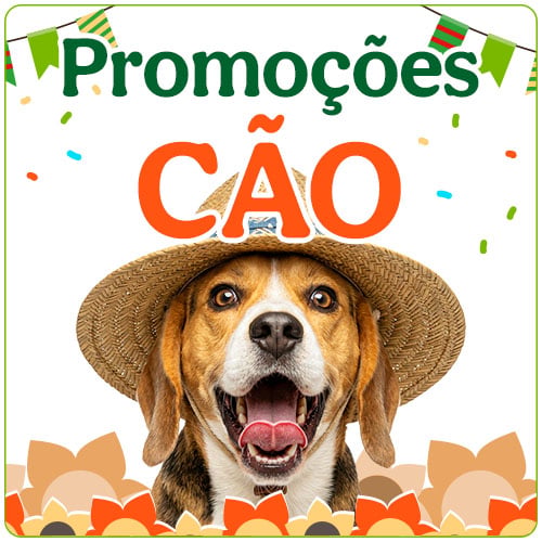 Promoções para cão.