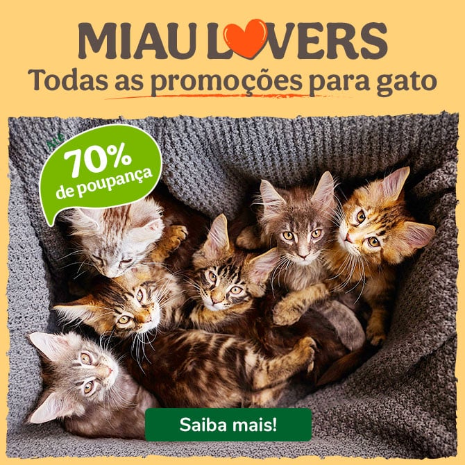 Promoções para os Miau Lovers: descontos especiais em alimentação, areia, brinquedos e mais.