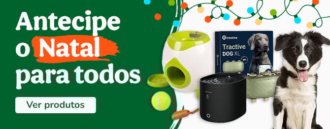 Anticipe o Natal para todos