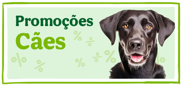 Promoçoes para Cães