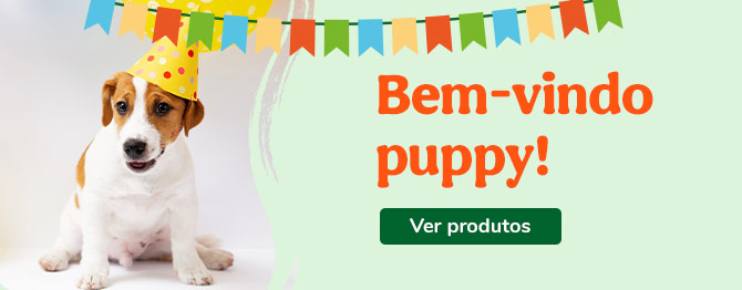Bem-vindos cachorrinhos