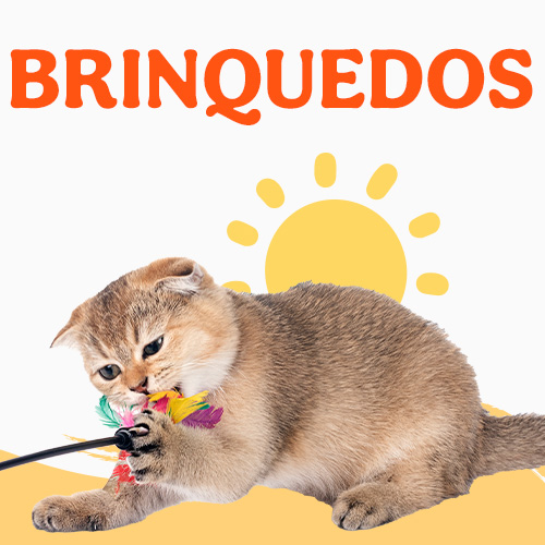 Promoçoes Brinquedos