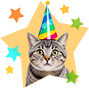 Promoções para gatos