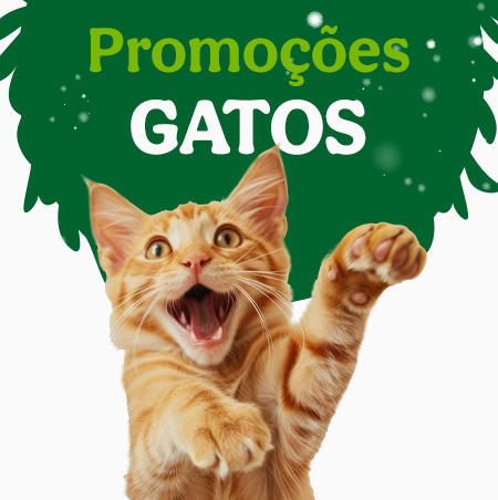 Promoções para gato