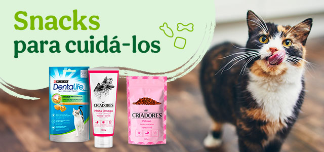 Snacks para cuidá-los