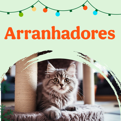 Promoções em Arranhadores