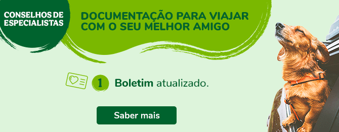 Vai viajar com o seu Amigo? Veja toda a documentação necessária neste post