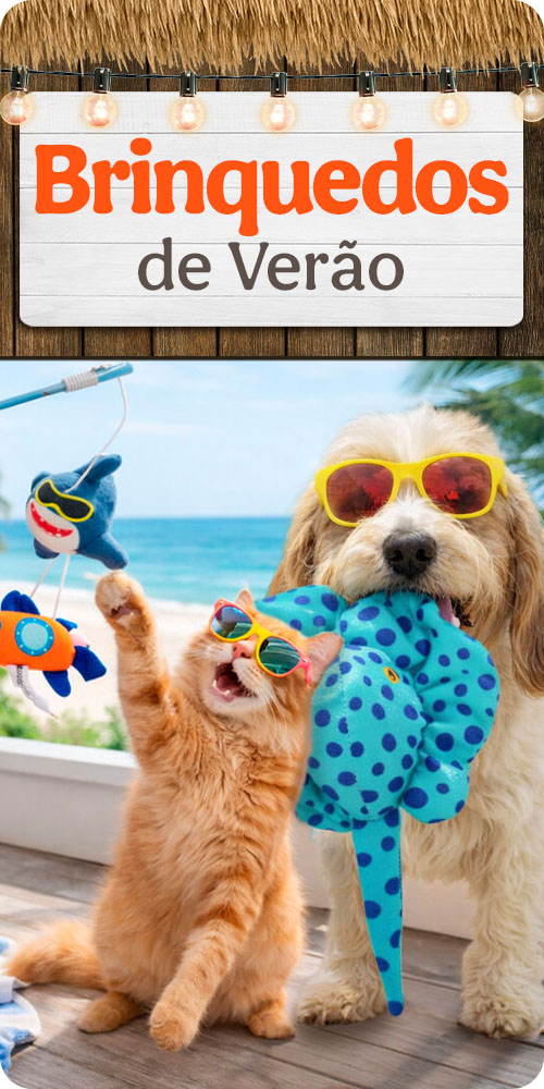 Brinquedos