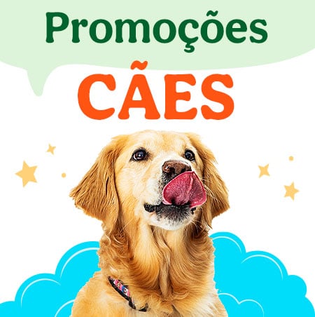 Promoçoes para cães