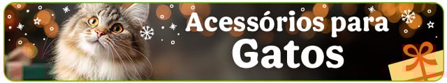 Os melhores acessórios para gato com qualidade e variedade para o seu patudo.