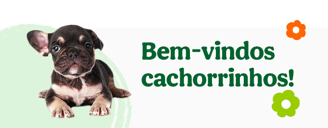 Aproveite o desconto!
